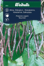 Stangbønne 'Blauhilde'